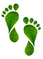 CO2 neutraal - Footprint